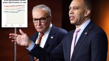 dem-pols-battle-against-national-voter-id-rule-despite-71%-of-their-voters-backing-it