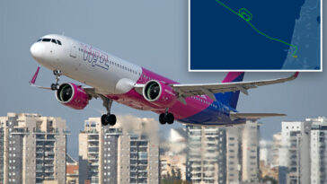 israeli-fighter-jets-escort-commercial-flight-after-‘terrorist’-scare-onboard:-reports