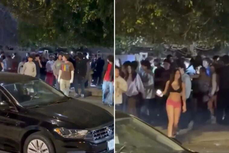 house-party-chaos-as-‘hundreds’-of-teens-drinking,-doing-drugs-flood-neighborhood:-‘like-an-80s-movie’