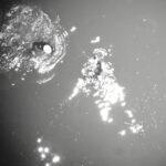 california-surfer-found-clinging-to-lobster-pot-buoy-after-being-swept-out-to-sea