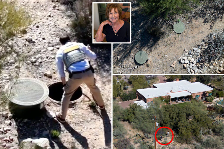 intriguing-reason-why-nancy-guthrie-investigators-searched-septic-tank:-‘may-have-flushed-something’