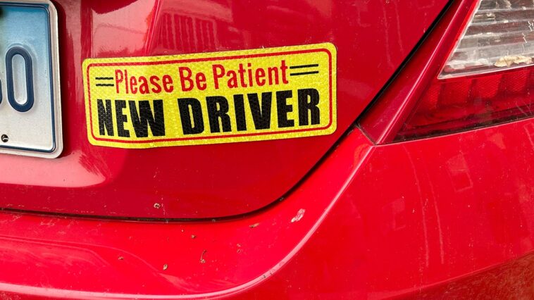 florida-driver-license-tests-now-only-given-in-english