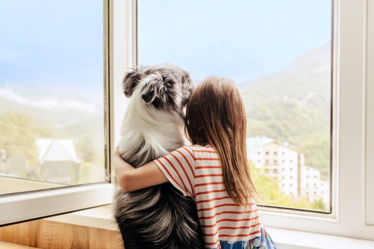 ring’s-‘lost-dog’-super-bowl-commercial-sparks-mass-surveillance-fears