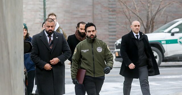 frozen-dead-rat-next-to-frozen-pile-of-garbage:-emma-jo-morris-describes-mamdani’s-third-world-vision-come-true-in-nyc