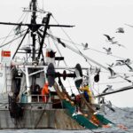 american-seafood-is-national-security-—-and-washington-is-failing-fishermen