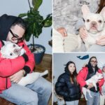 tearjerker-scene-as-nyc-couple-reunited-with-french-bulldog-coco-chanel-stolen-during-home-invasion