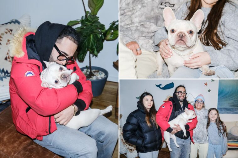 tearjerker-scene-as-nyc-couple-reunited-with-french-bulldog-coco-chanel-stolen-during-home-invasion