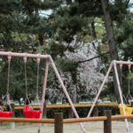 judge-strikes-down-three-pro-life-laws-in-arizona,-citing-abortion-amendment