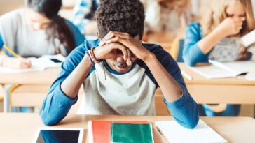 alarming-study-shows-average-somali-high-school-senior-in-minnesota-committing-fraud-at-just-a-5th-grade-level