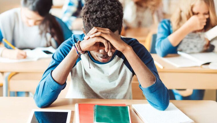 alarming-study-shows-average-somali-high-school-senior-in-minnesota-committing-fraud-at-just-a-5th-grade-level