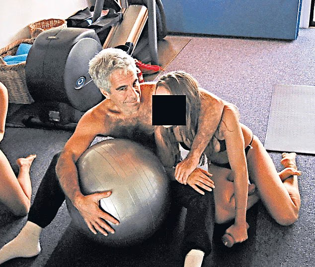 documents-show-epstein-bought-330-gallons-of-sulfuric-acid-in-2018,-on-the-same-day-the-fbi-launched-sex-trafficking-probe-on-him