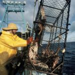 another-win-for-fishermen-after-trump-rolls-back-obama-fishing-limits