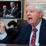 senate-gop-grills-verizon,-at&t-and-t-mobile-for-handing-over-phone-records-to-jack-smith:-‘hide-your-head-in-a-bag’