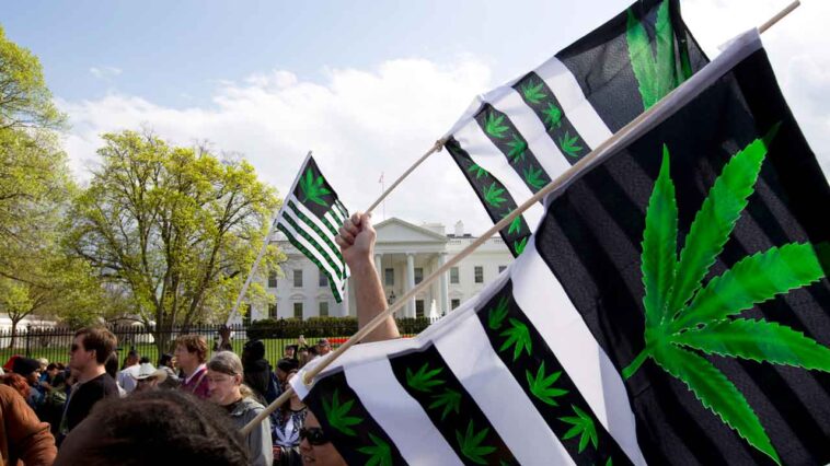 ny-times-walks-back-stance-on-marijuana-legalization,-admits-loosening-of-policies-has-made-country-worse-off