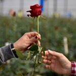 fox-news-poll:-beyond-red-vs.-blue,-finding-me-+-you-across-the-political-divide