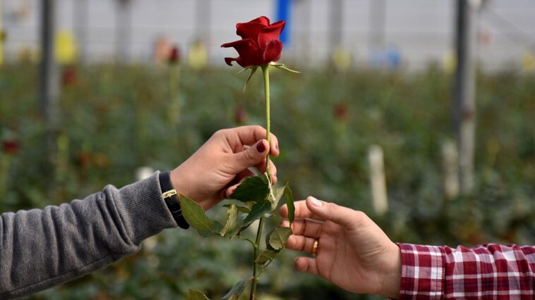 fox-news-poll:-beyond-red-vs.-blue,-finding-me-+-you-across-the-political-divide