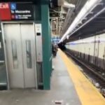 man-dies-after-being-shot-in-the-groin-during-dispute-on-nyc-subway-platform
