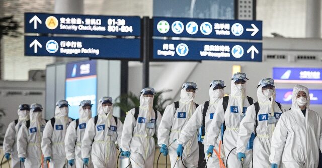 6-years-after-pandemic,-china-to-monitor-dangerous-bat-borne-illness-in-lunar-new-year-travel