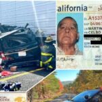 jim-banks-launches-trucksafe-tipline-to-combat-illegal-drivers,-unlawful-trucking-networks