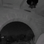 what-the-timing-of-the-fbi’s-image-release-suggests-in-the-nancy-guthrie-case:-crime-insider