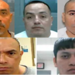 while-democrats-demonize-ice,-agency-removes-more-violent-illegals-from-the-streets