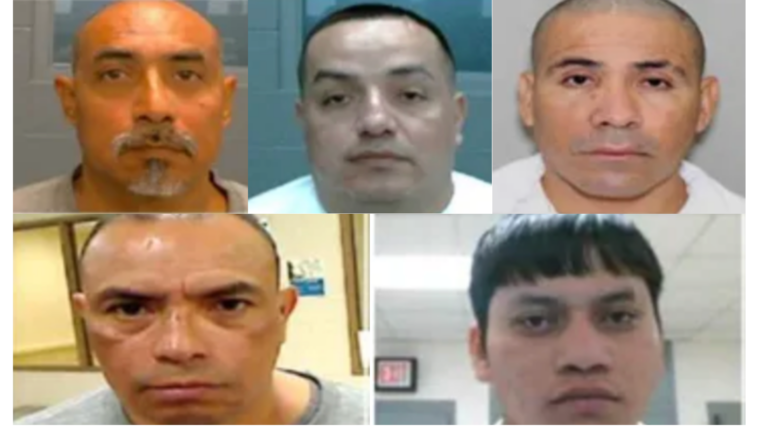 while-democrats-demonize-ice,-agency-removes-more-violent-illegals-from-the-streets