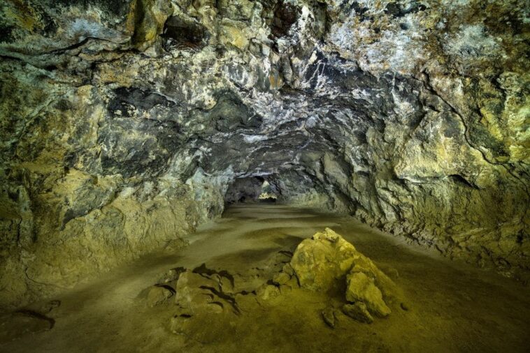 prehistoric-pioneers:-study-suggests-ancient-americas-rivaled-‘cradles-of-civilization’