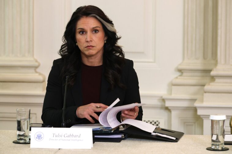 tulsi-gabbard-ends-task-force-that-aimed-to-reform-intelligence-gathering-after-less-than-a-year