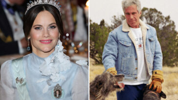 princess-sofia-of-sweden-breaks-silence-on-epstein-encounters-after-doj-file-release