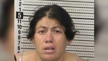 new-mexico-woman-accused-of-discarding-newborn-baby-girl-in-portable-toilet