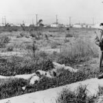 the-black-dahlia-at-79:-why-america-can’t-let-go-of-hollywood’s-most-haunting-murder