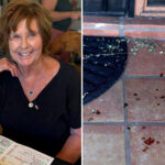 dna-splatter-reveals-nancy-guthrie-was-bleeding-from-‘either-the-hands-or-face,’-expert-says