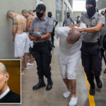 americans-may-have-to-pay-to-bring-back-alleged-members-of-‘foreign-terrorist-cartel’-to-us