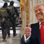 trump’s-operation-metro-surge-located-3,000-missing-migrant-children-in-minneapolis,-emmer-says