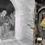 walmart-sales-records-become-critical-evidence-as-fbi-investigates-nancy-guthrie’s-disappearance