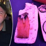 vegan-passenger-horrified-after-airline-served-‘rotten’-sandwich-on-flight:-‘worst-meal-i-have-ever-had’