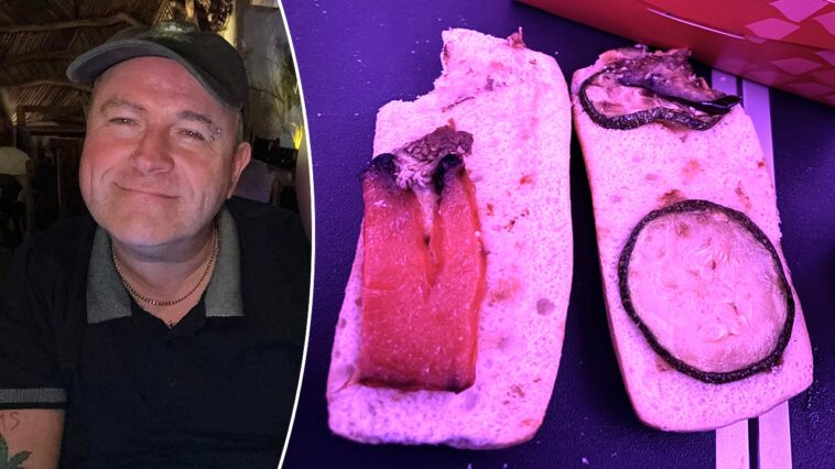 vegan-passenger-horrified-after-airline-served-‘rotten’-sandwich-on-flight:-‘worst-meal-i-have-ever-had’