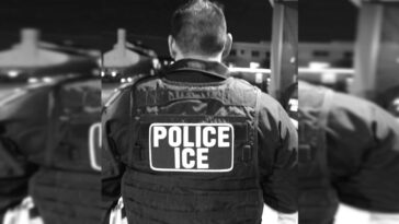 ice-agent-hilariously-roasts-leftist-agitator-stalking-them-after-she-calls-a-hispanic-agent-a-“race-traitor”