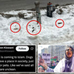 anti-israel-activist-quips-dog-poop-apocalypse-proves-why-nyc-should-turn-to-islam
