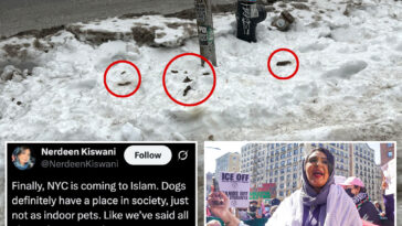anti-israel-activist-quips-dog-poop-apocalypse-proves-why-nyc-should-turn-to-islam