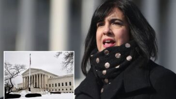 rep.-nicole-malliotakis-asks-supreme-court-to-stop-dems-from-scrapping-nyc’s-sole-gop-house-seat