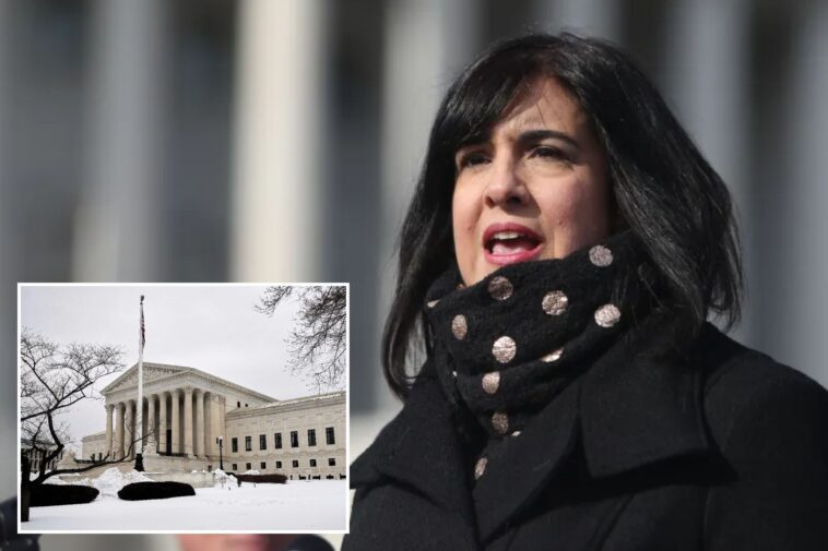 rep.-nicole-malliotakis-asks-supreme-court-to-stop-dems-from-scrapping-nyc’s-sole-gop-house-seat