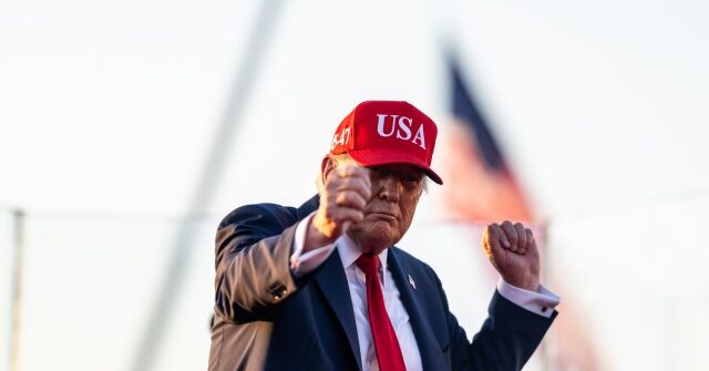 report:-record-number-of-illegal-aliens-self-deporting-us.-under-trump