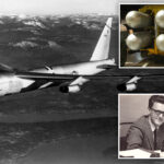 glowing-greenland:-danes-who-cleaned-up-a-us-nuclear-bomber-crash-in-1968-say-radiation-gave-them-cancer