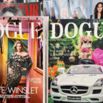 doguefight:-vogue-sues-tiny-dog-mag-in-david-and-goliath-war
