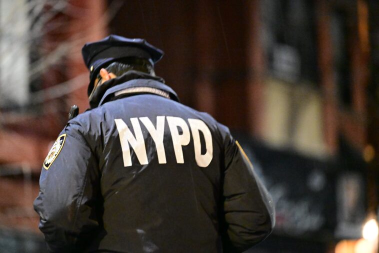 bad-lieutenant:-nypd-boss-‘demoted-and-probed’-for-alleged-forbidden-sex-with-snitch