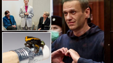 russian-opposition-leader-alexei-navalny-poisoned-by-highly-lethal-dart-frog-toxin,-widow-says