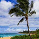 hawaii-cruise-thrown-into-chaos-after-emergency-at-sea-forces-port-change