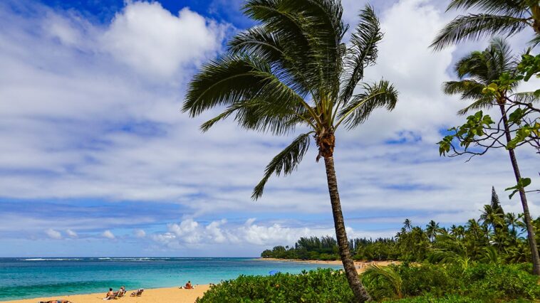 hawaii-cruise-thrown-into-chaos-after-emergency-at-sea-forces-port-change