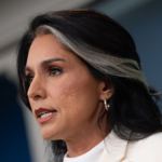 tulsi-gabbard-celebrates-one-year-as-director-of-national-intelligence-protecting-american-security,-unraveling-deep-state